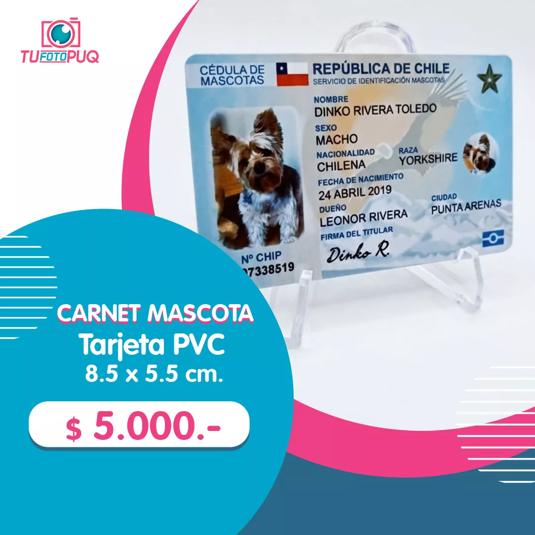 Carnet para Mascotas PVC