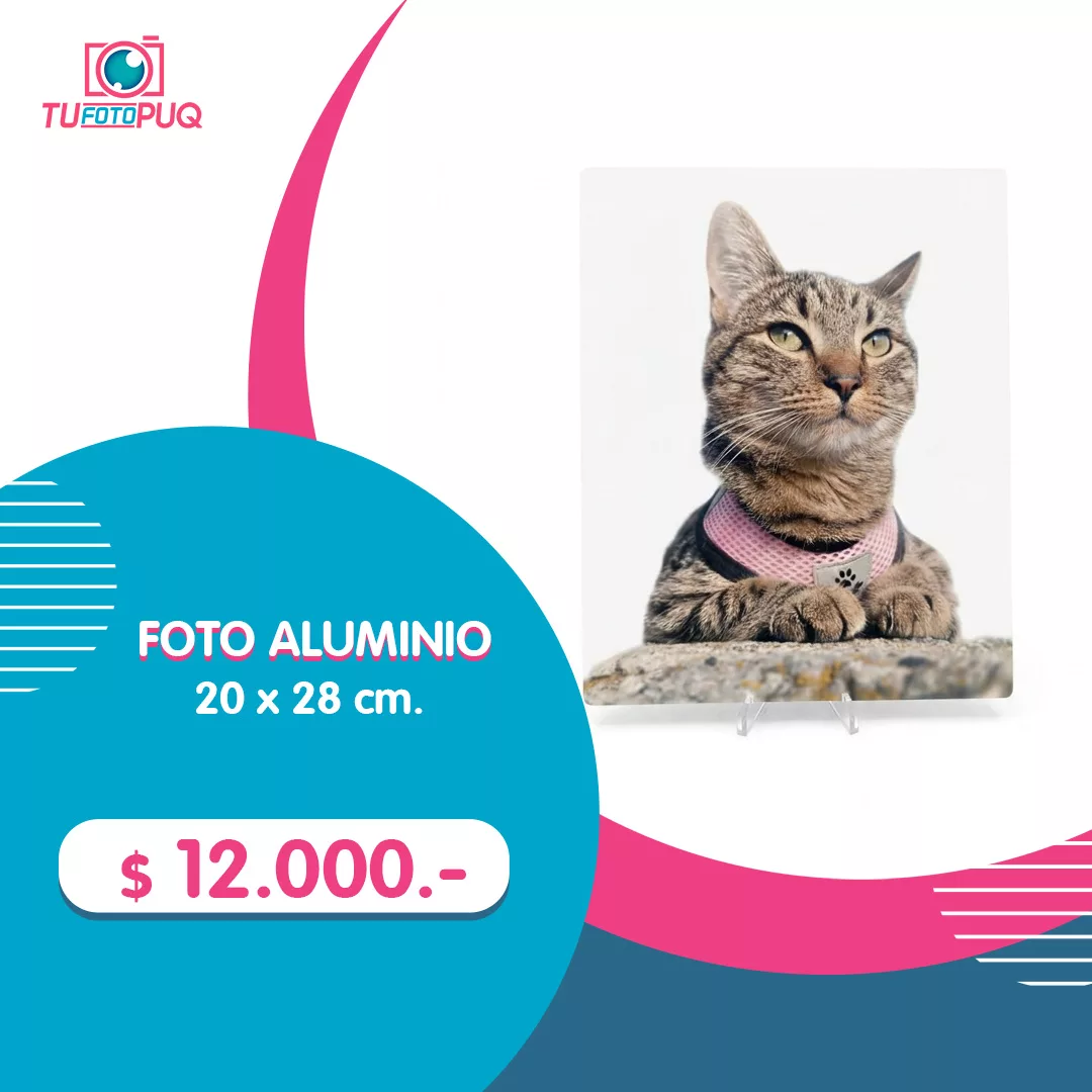Foto Aluminio 20×28 cm. en Punta Arenas