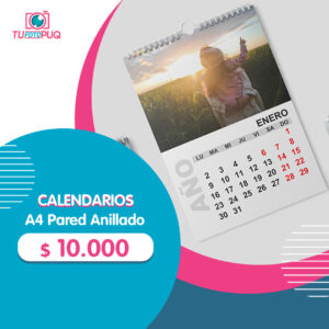 Calendario Anual Pared Anillado