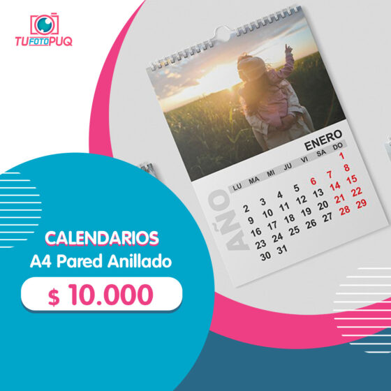 Calendario Anual Pared Anillado