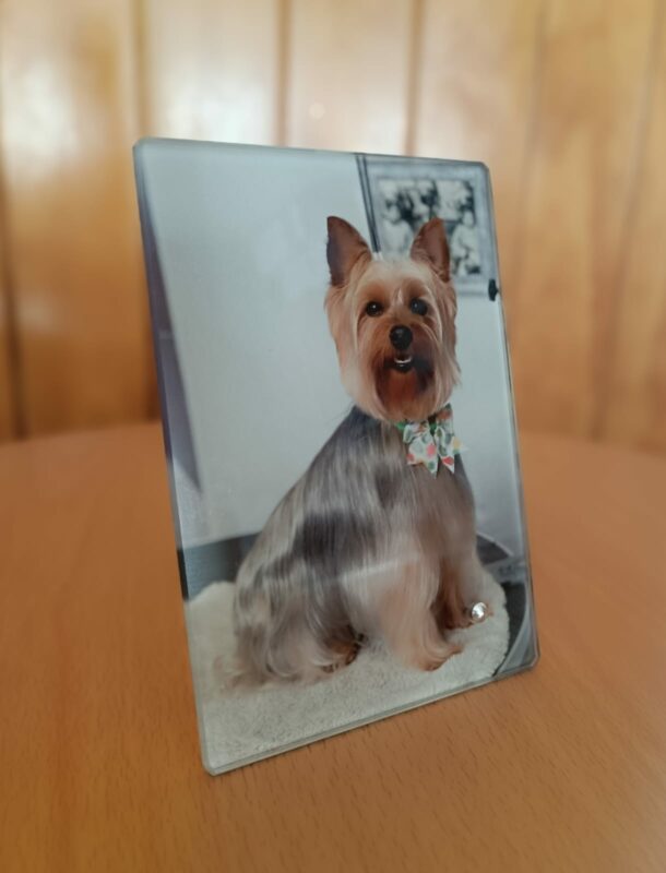 TuFotoPuq