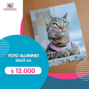 Foto Aluminio 20x25 cm.