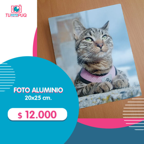 Foto Aluminio 20x25 cm.